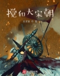 搅和大宋朝 小说