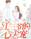 江三爷的心尖宠 小说