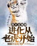 我不是橘猫进化从老虎开始TXT