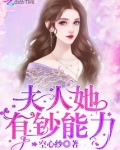 夫人她有钞能力说的是什么