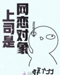 网恋对象竟是上司