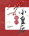 他的小皇后
