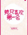 她只喜欢第一名TXT
