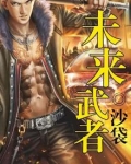 未来武者