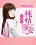 少将的纯情暖妻小说讲的什么
