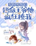 女扮男装的王爷