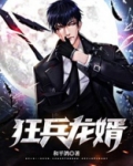 狂兵龙婿叶