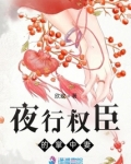 权臣的掌心宠 夜小妆