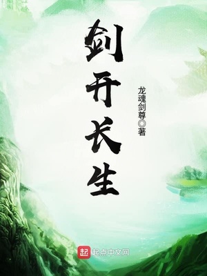 剑开长生笔趣阁