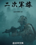 二次军旅小说