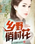 乡野常见的花