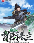 三国：曹营谋主，朝九晚五