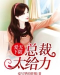 爱无下限，总裁太给力