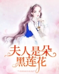 夫人是朵黑莲花电视剧免费观看