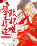 摄政王妃好难追
