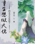 重生想做大佬的太子又失败了小说