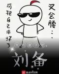 我的妻子是刘备小说