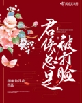 君侯总是被打脸好看吗