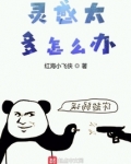 写小说没灵感怎么办