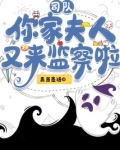 司队,你家夫人又来监察啦