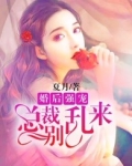 总裁他婚后宠不回家