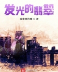 发光的翡翠小说