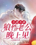 小妻不乖：狼性老公晚上见