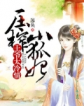 王爷太冷情，压榨小狐妃！