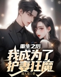重生后我成为护夫狂妻
