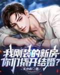 我刚装的新房你们撬开结婚小说下载TXT