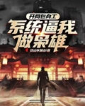 开局我是包拯