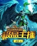 英雄联盟之极品主播是讲啥的