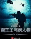 喜羊羊与灰太狼全部系列游戏