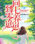 回到七零养崽崽txt