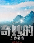 奇妙的斗罗之旅