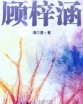 顾梓涵陆和榕小说叫什么名字