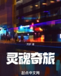 灵魂奇旅 百度网盘