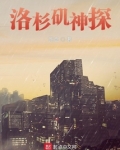 洛杉矶神探小说