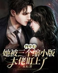四年后,她被三个缩小版大佬盯上了