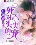 订婚夜，我成了死对头的心尖宠