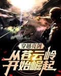 穿越亮剑从苍云岭开始崛起TXT下载