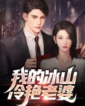 我的冰山冷艳老婆