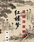红楼梦重要回目
