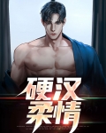 硬汉柔情的小说