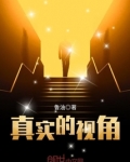 真实视角mod