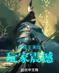 给领主来点玩家震撼txt