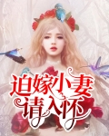 迫嫁小妻请入怀免费阅读