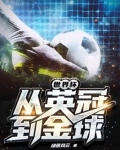 世界杯:从英冠到金球