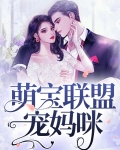 六宝联盟宠妈咪全文免费阅读