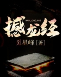 撼龙经口诀大全